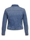 onlycarma-wespa-jacket