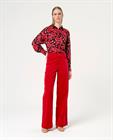 surkana-velvet-pant-522