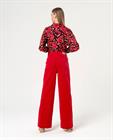 surkana-velvet-pant-522