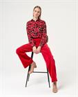 surkana-velvet-pant-522
