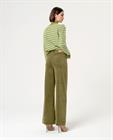 surkana-velvet-pant-522
