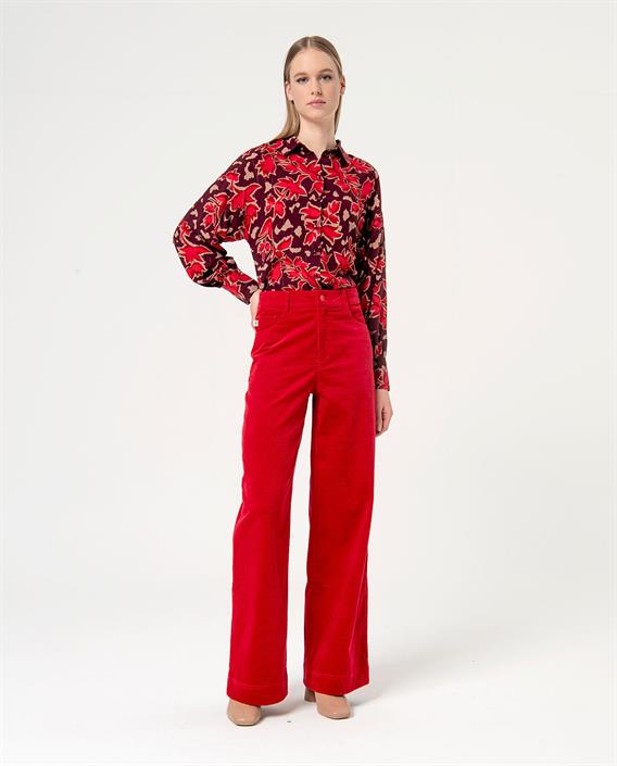 surkana-velvet-pant-522