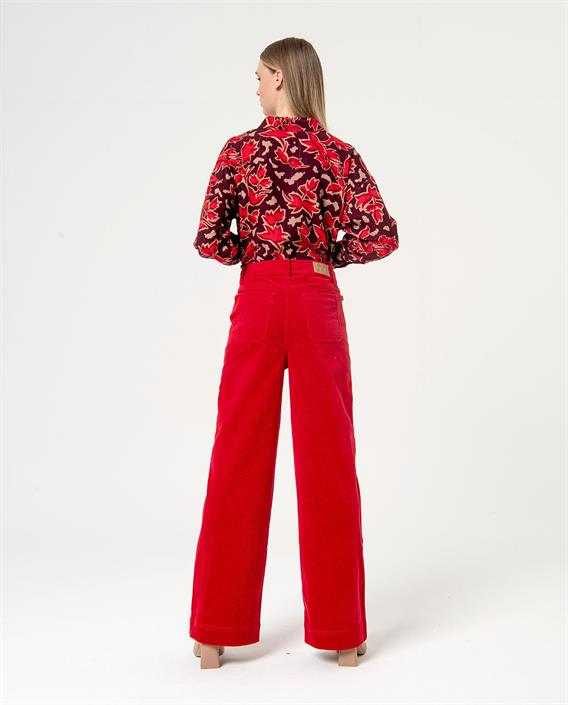 surkana-velvet-pant-522